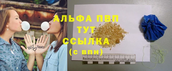 дмт Пересвет
