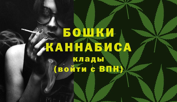 дмт Пересвет
