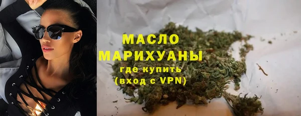 дмт Пересвет