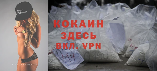 дмт Пересвет