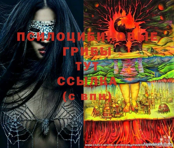 дмт Пересвет