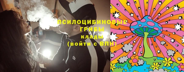 эйфоретик Арсеньев