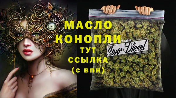 дмт Пересвет