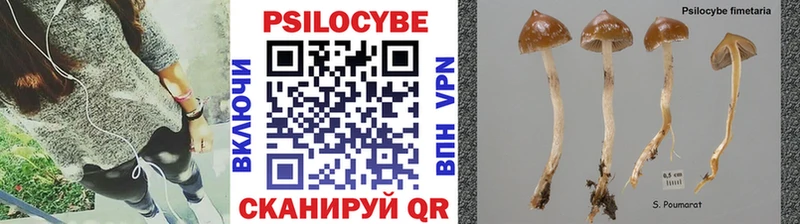 Псилоцибиновые грибы Psilocybine cubensis  цены   Тында 